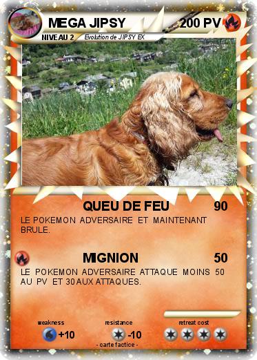 Pokemon MEGA JIPSY
