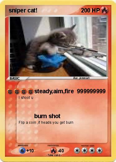 Pokemon sniper cat!