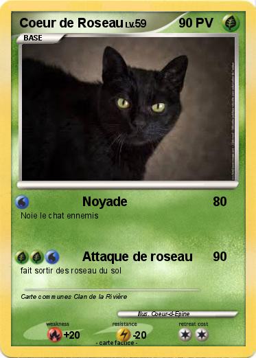 Pokemon Coeur de Roseau