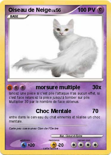 Pokemon Oiseau de Neige