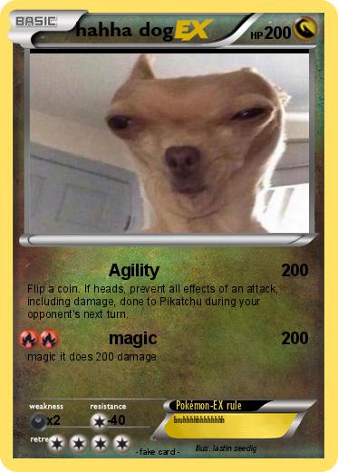 Pokemon hahha dog