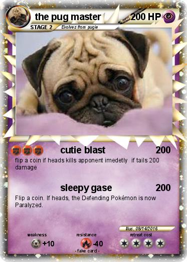 Pokemon the pug master