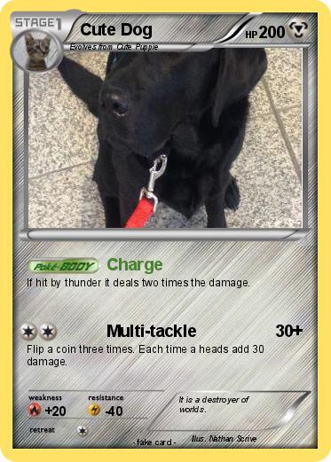 Pokemon Cute Dog