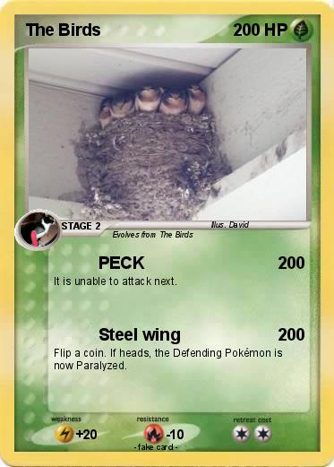Pokemon The Birds