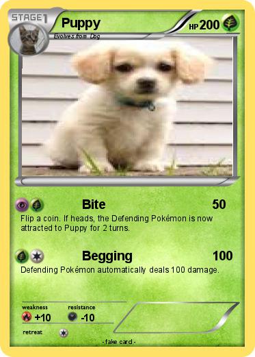 Pokemon Puppy