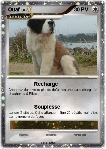 Pokemon Ouaf