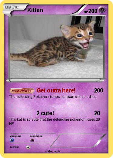 Pokemon Kitten