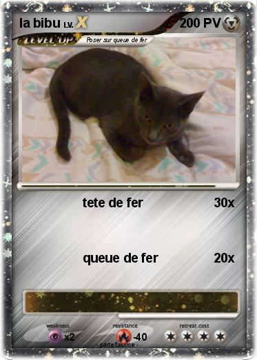 Pokemon la bibu