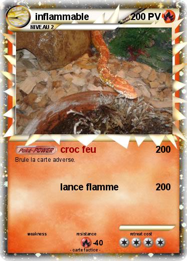 Pokemon inflammable