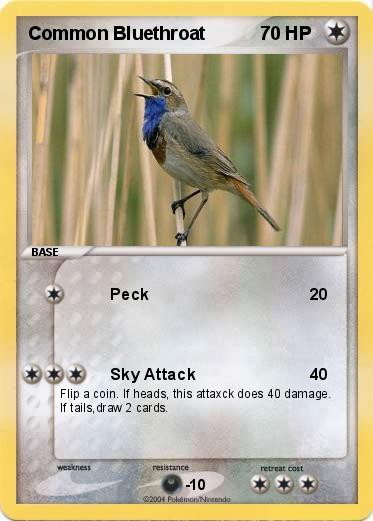 Pokemon Common Bluethroat