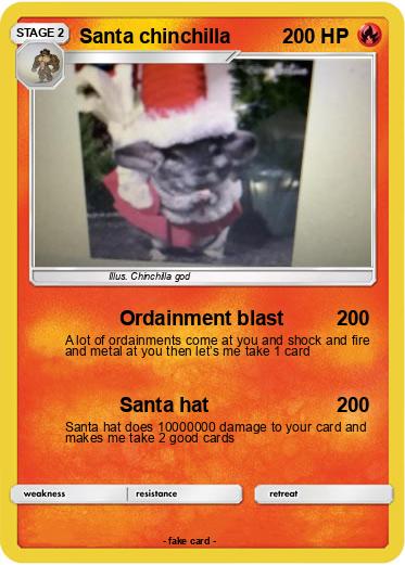 Pokemon Santa chinchilla