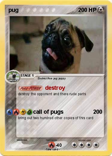 Pokemon pug
