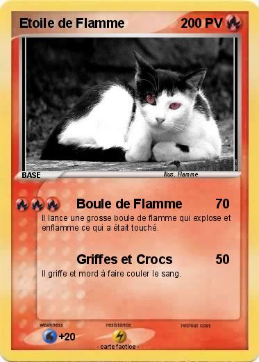 Pokemon Etoile de Flamme