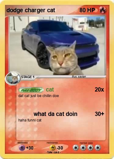 Pokemon dodge charger cat