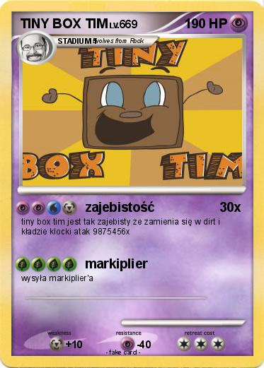 Pokemon TINY BOX TIM