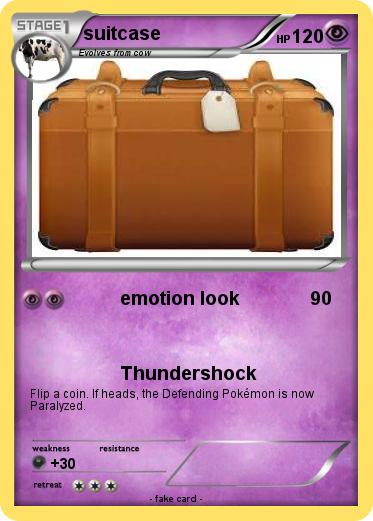 Pokemon suitcase