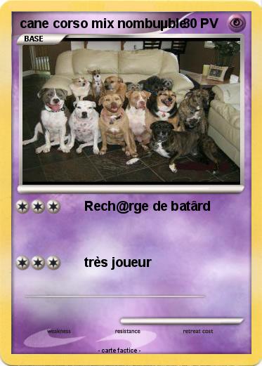 Pokemon cane corso mix nombuµble