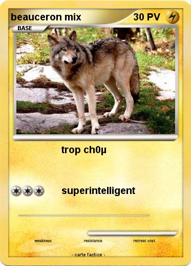 Pokemon beauceron mix