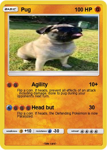 Pokemon Pug