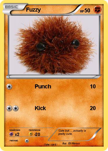 Pokemon Fuzzy