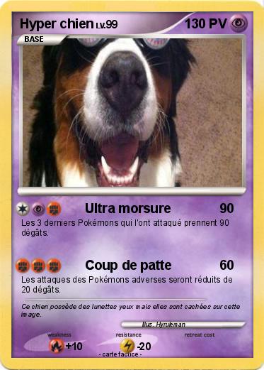 Pokemon Hyper chien