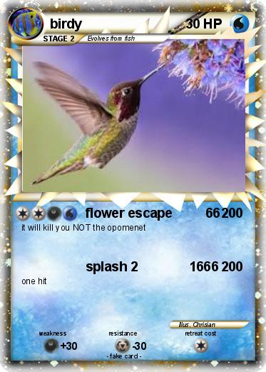 Pokemon birdy