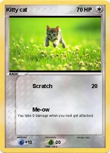 Pokemon Kitty cat