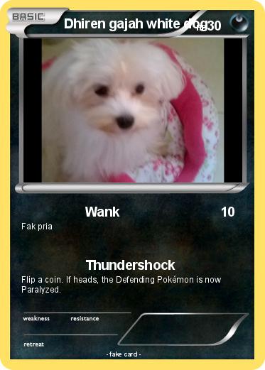 Pokemon Dhiren gajah white dog