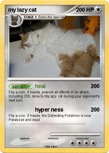 Pokemon my lazy cat