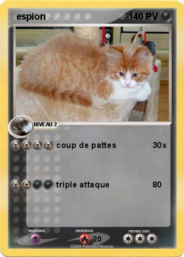 Pokemon  espion