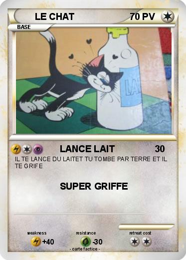 Pokemon LE CHAT