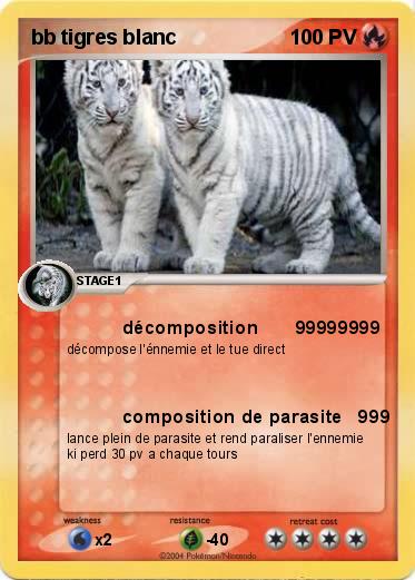 Pokemon bb tigres blanc 