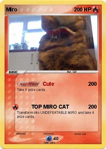 Pokemon Miro