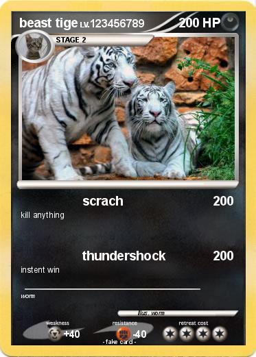 Pokemon beast tige