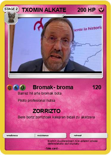Pokemon TXOMIN ALKATE