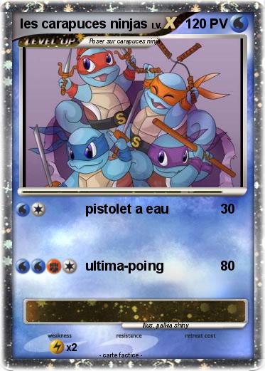 Pokemon les carapuces ninjas
