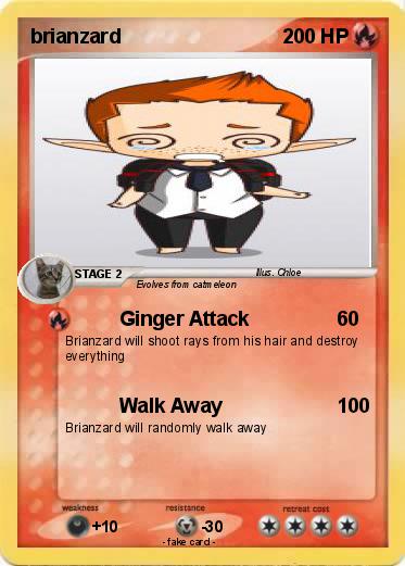 Pokemon brianzard