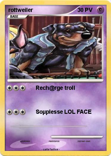 Pokemon rottweiler