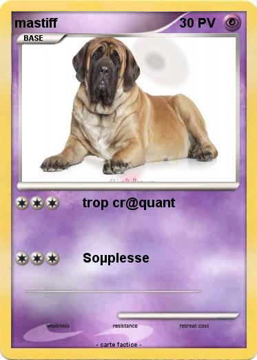 Pokemon mastiff