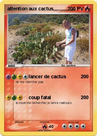 Pokemon attention aux cactus,,,,,,,,,,,,,,,,.