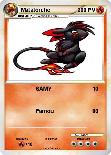 Pokemon Matatorche