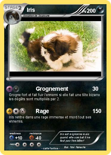 Pokemon Iris