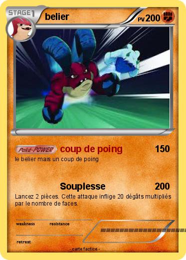 Pokemon belier