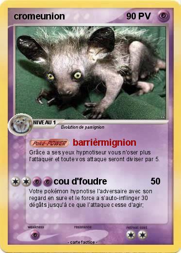 Pokemon cromeunion