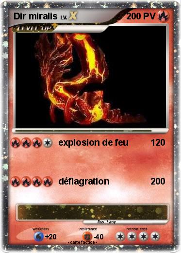 Pokemon Dir miralis