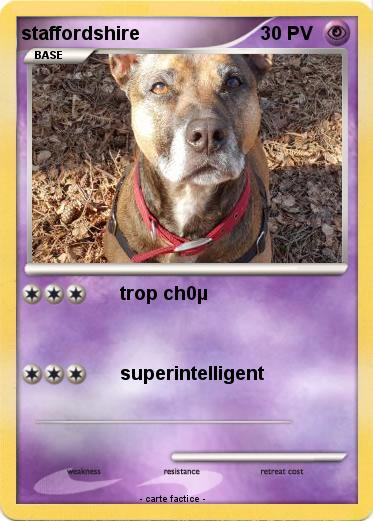 Pokemon staffordshire