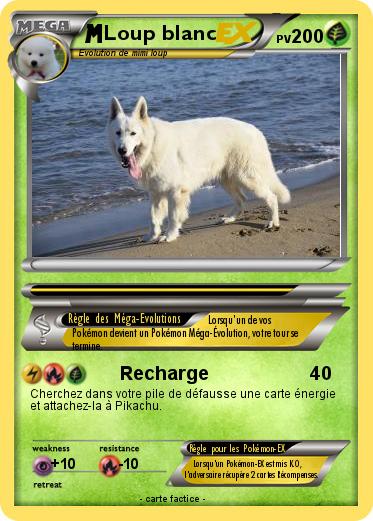 Pokemon Loup blanc