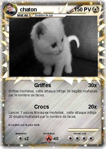 Pokemon chaton