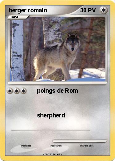 Pokemon berger romain