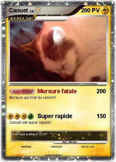 Pokemon Caouet